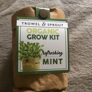 Organic Mint grow kit